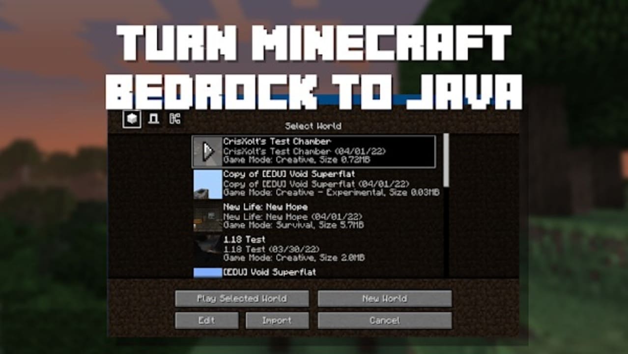 Minecraft Java Edition 4